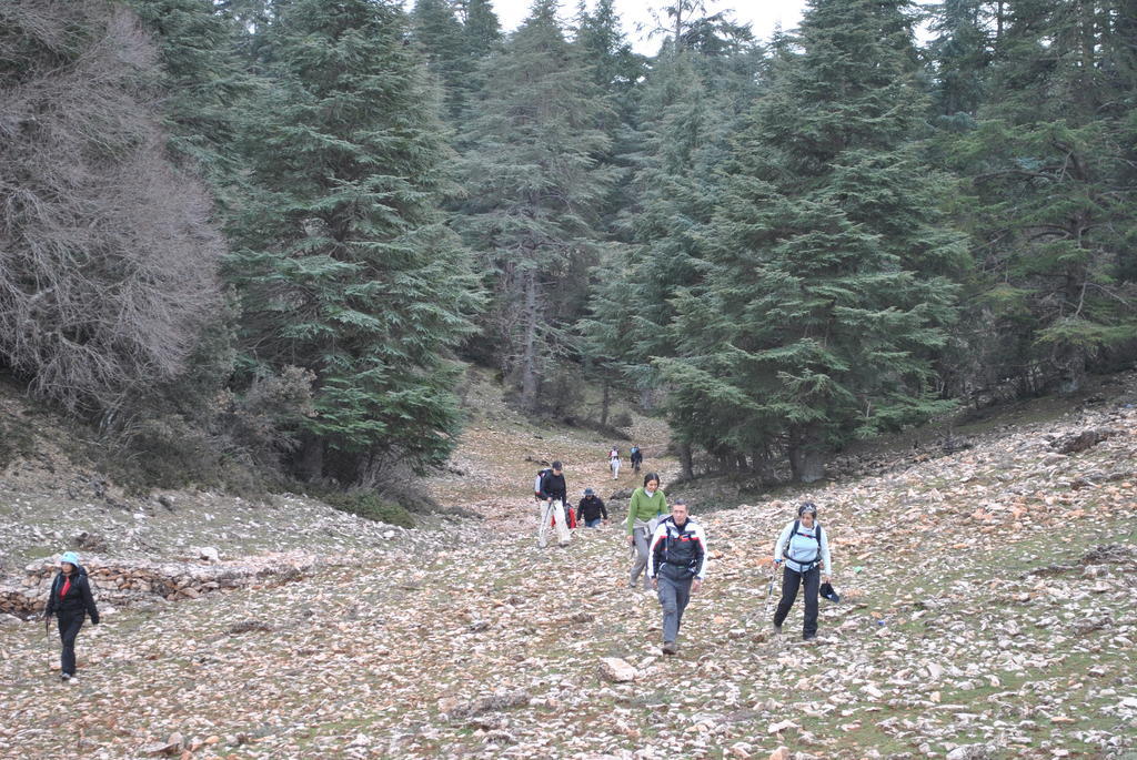 Tamanoucht Ifrane (Ifrane) Exterior foto